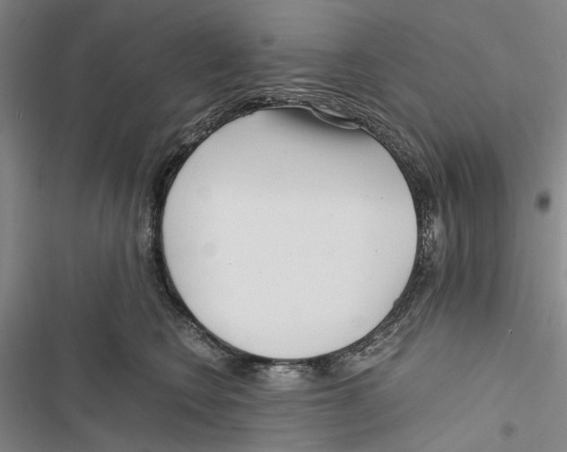 X0000116800566201001151125