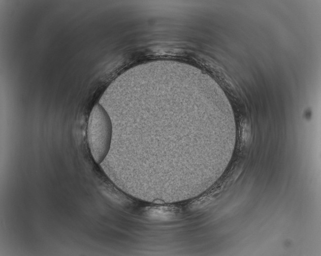 X0000116800567201001151125