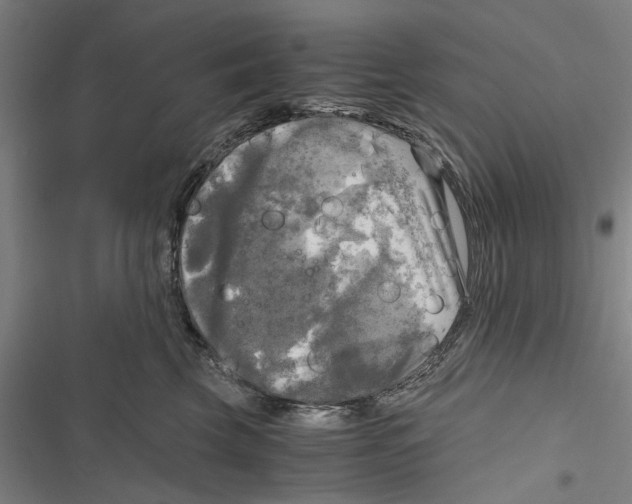 X0000116800569201001151125