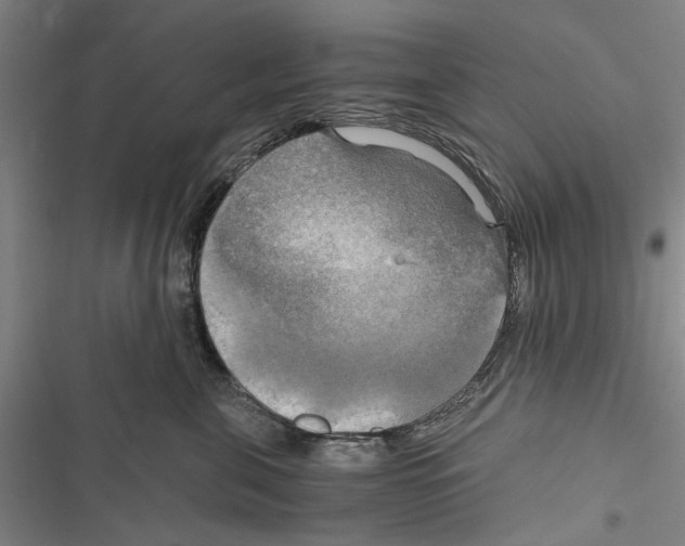 X0000116800571201001151125