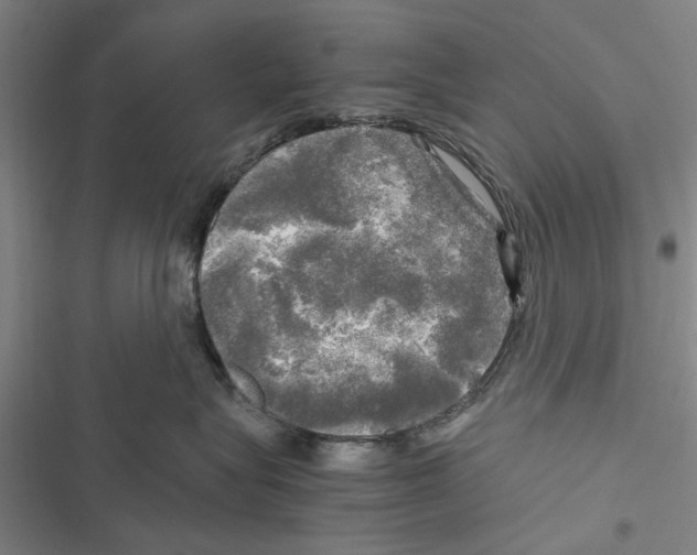 X0000116800575201001151125