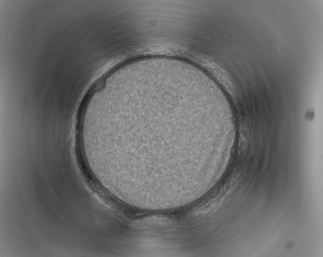 X0000116800578201001151124