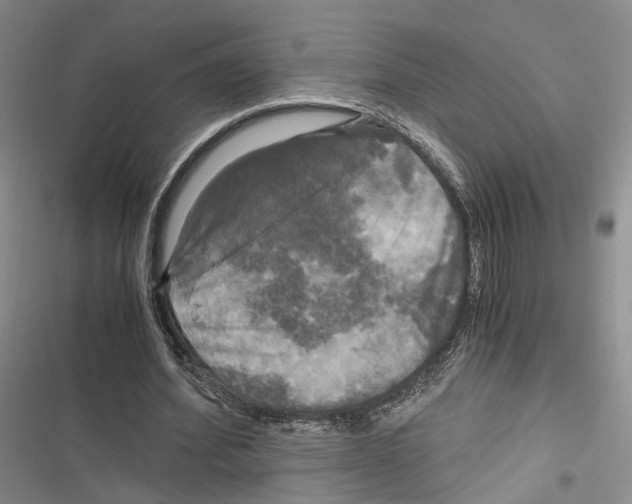 X0000116800580201001151124