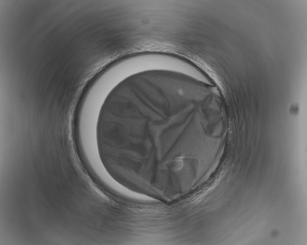 X0000116800581201001151124