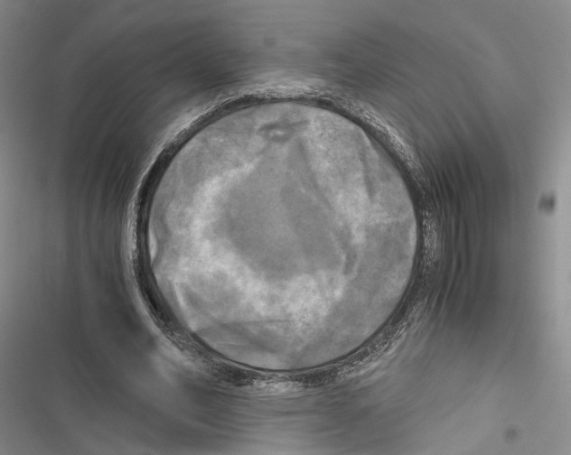 X0000116800582201001151124