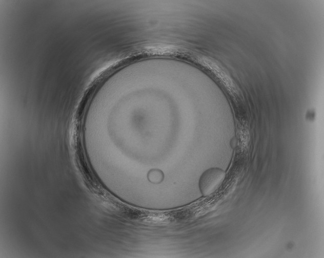 X0000116800583201001151124