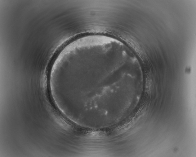 X0000116800584201001151124