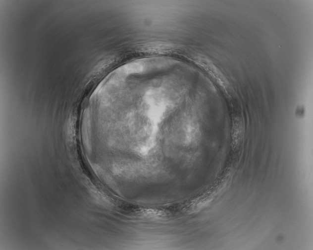 X0000116800585201001151124