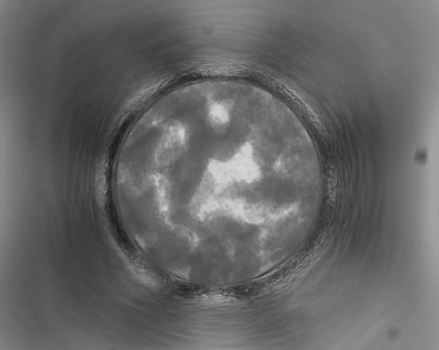 X0000116800586201001151124