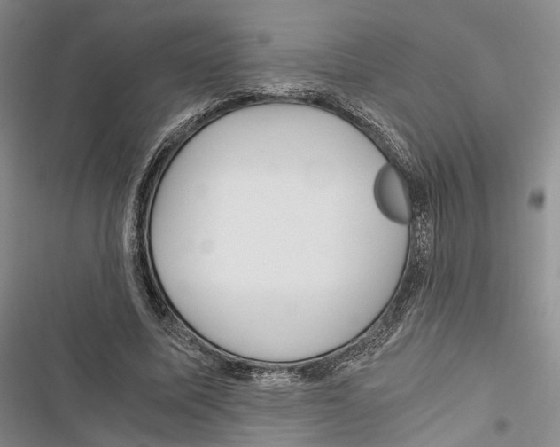 X0000116800587201001151124