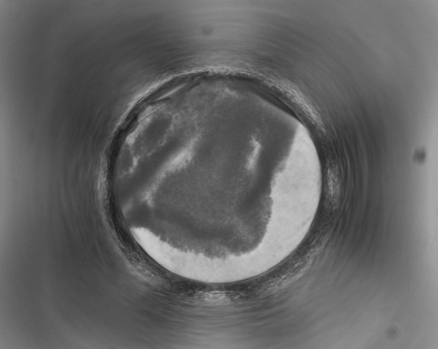 X0000116800588201001151124