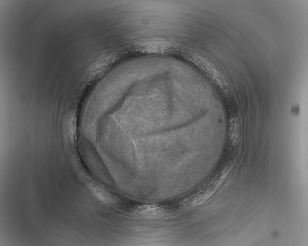 X0000116800589201001151124