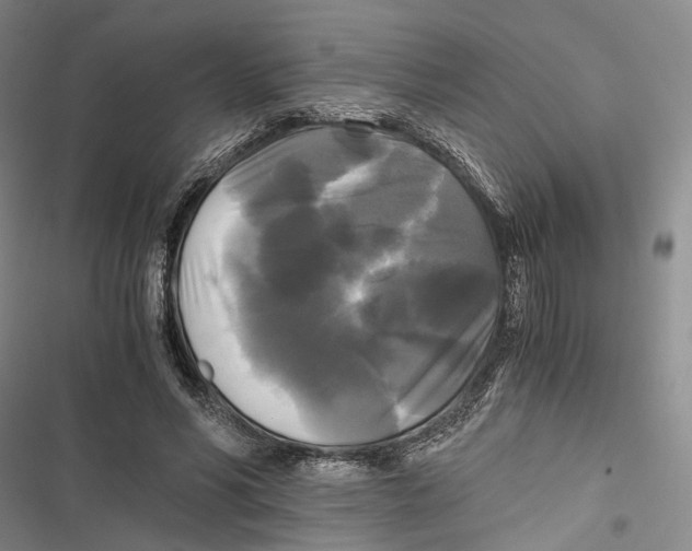X0000116800590201001151124