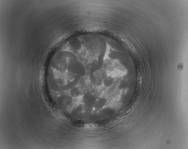 X0000116800591201001151124