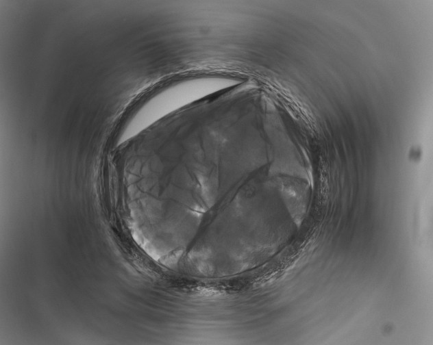 X0000116800592201001151124