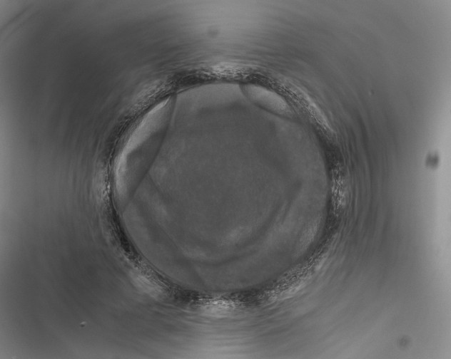 X0000116800593201001151124