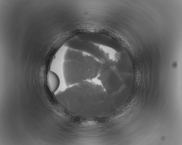 X0000116800594201001151124