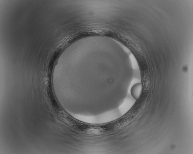 X0000116800595201001151124