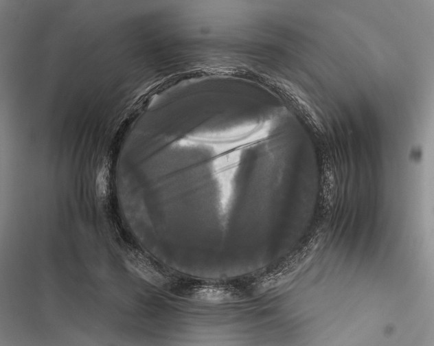 X0000116800596201001151124