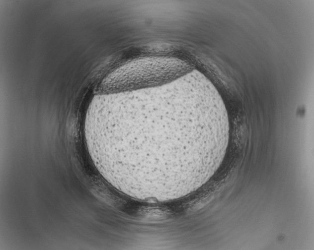 X0000116800597201001151124