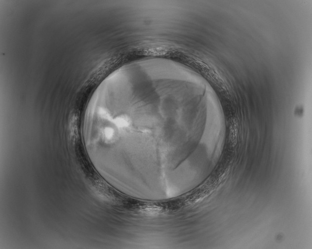 X0000116800598201001151124