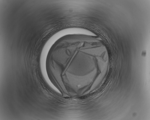X0000116800599201001151124