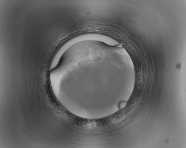X0000116800600201001151124