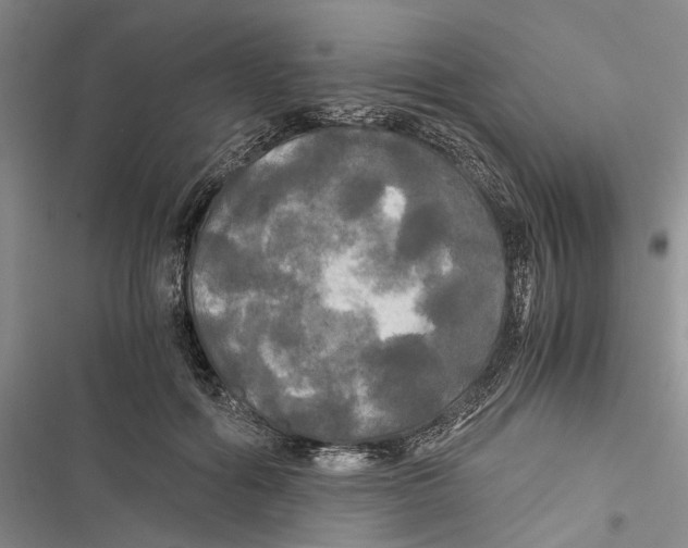 X0000116800602201001151124