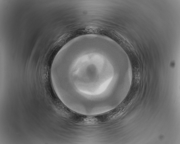 X0000116800603201001151124