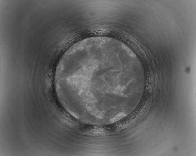 X0000116800604201001151124