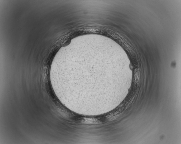 X0000116800605201001151124