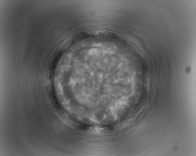 X0000116800607201001151124