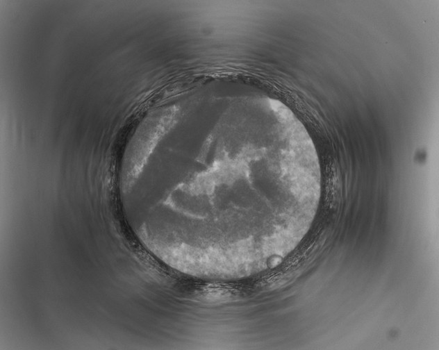 X0000116800608201001151124