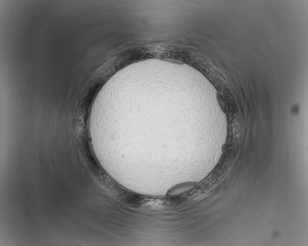 X0000116800611201001151124