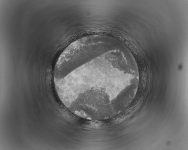 X0000116800612201001151124