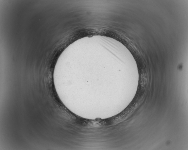 X0000116800613201001151124