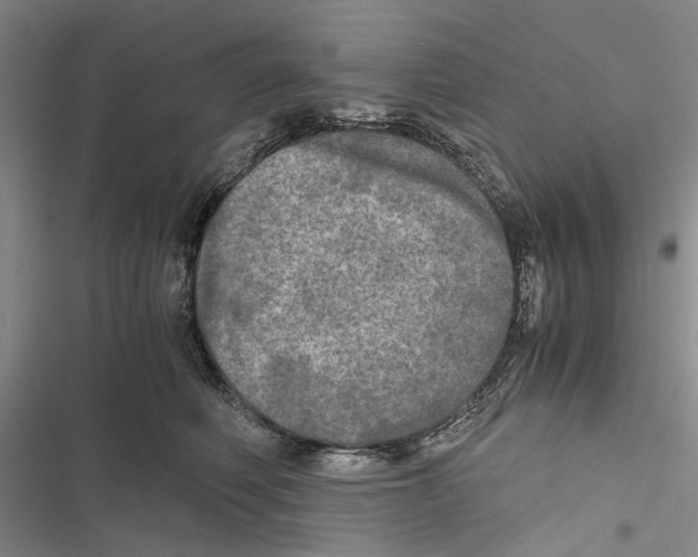 X0000116800614201001151124