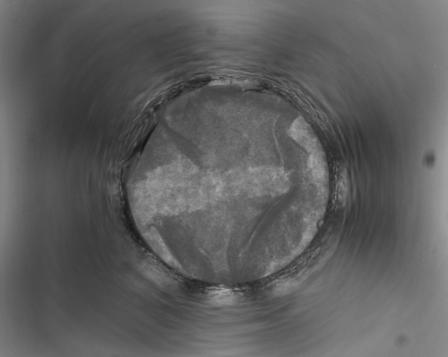 X0000116800616201001151124