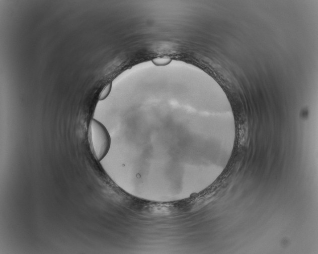 X0000116800618201001151124