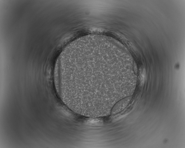 X0000116800619201001151124