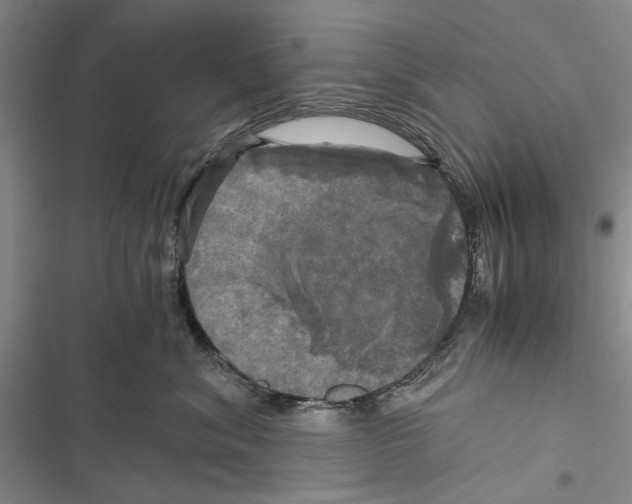 X0000116800620201001151124