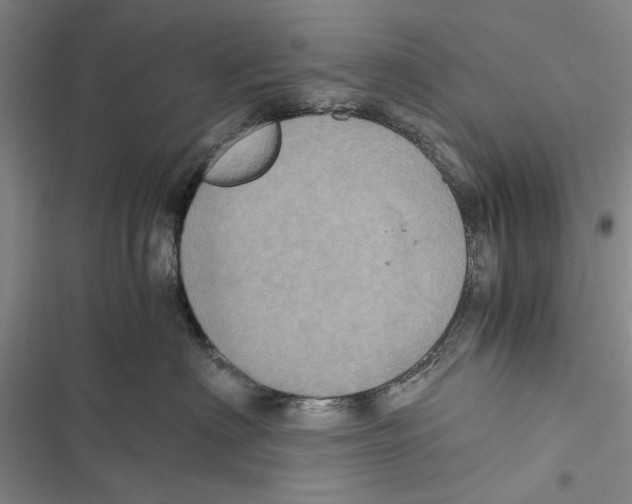 X0000116800622201001151124