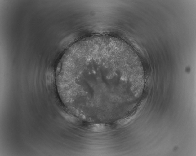 X0000116800623201001151124