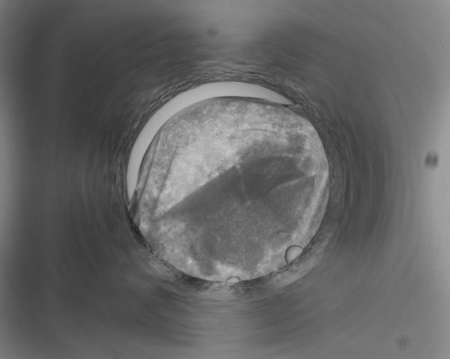 X0000116800624201001151124