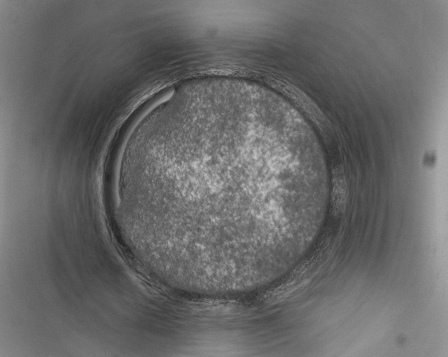 X0000116800626201001151123