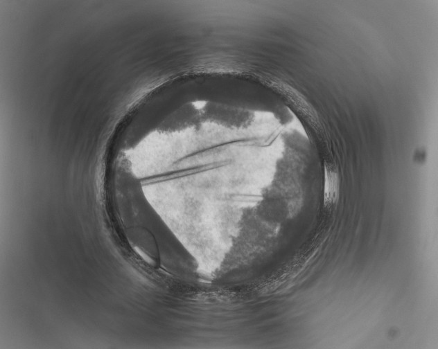 X0000116800627201001151123