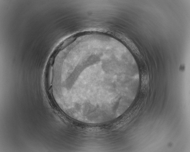X0000116800628201001151123