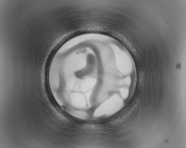 X0000116800629201001151123