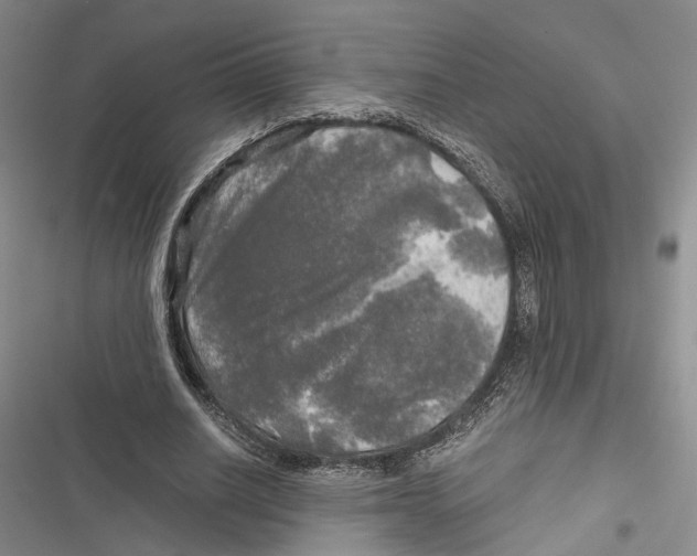 X0000116800630201001151123