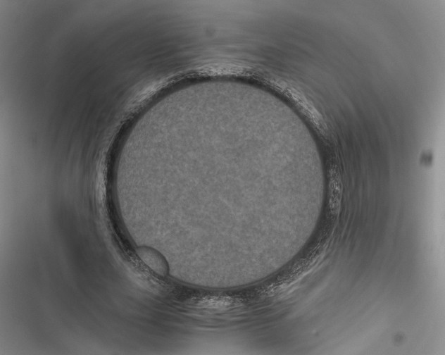 X0000116800631201001151123